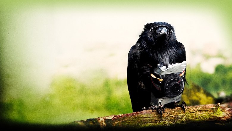 Still from Four Lions